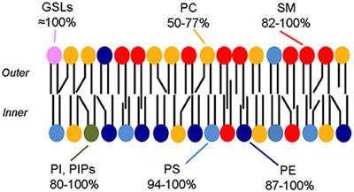yu A data-driven machine learning approach to predict